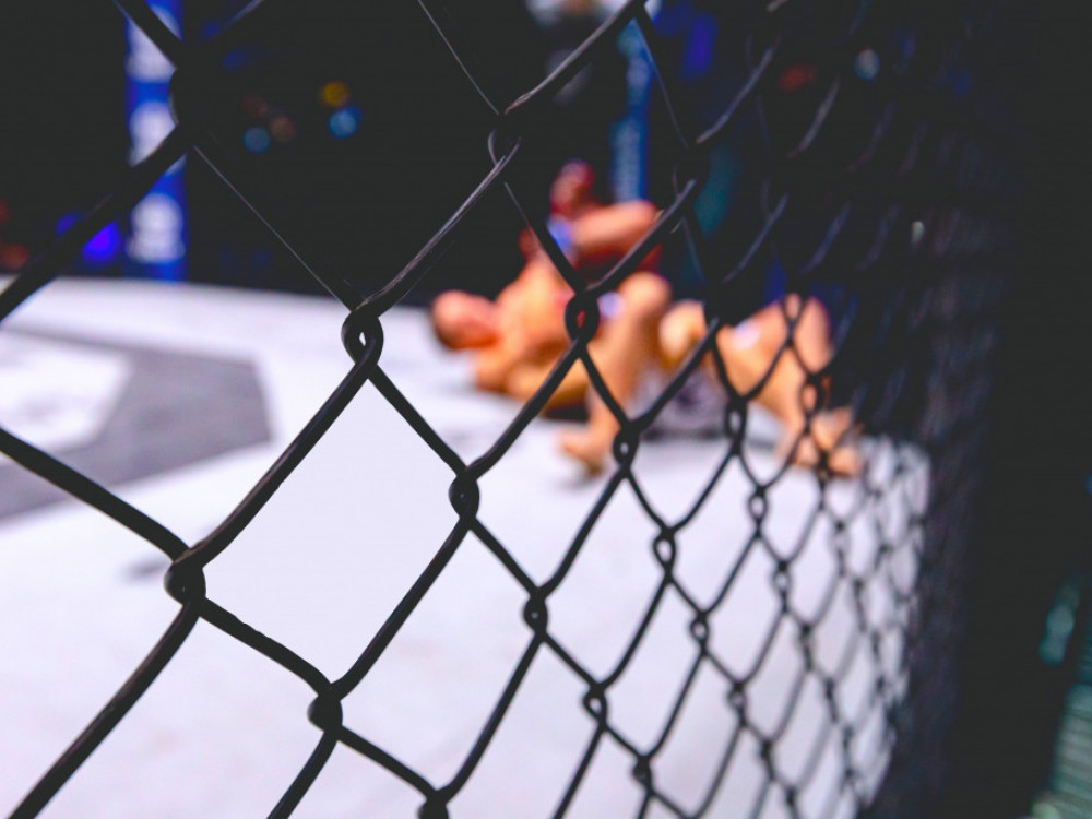 MMA borci u klinču