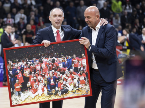 Povrede remete Zvezdu, ali Tomić poručuje: Nema kukanja, tražimo igrača na poziciji beka