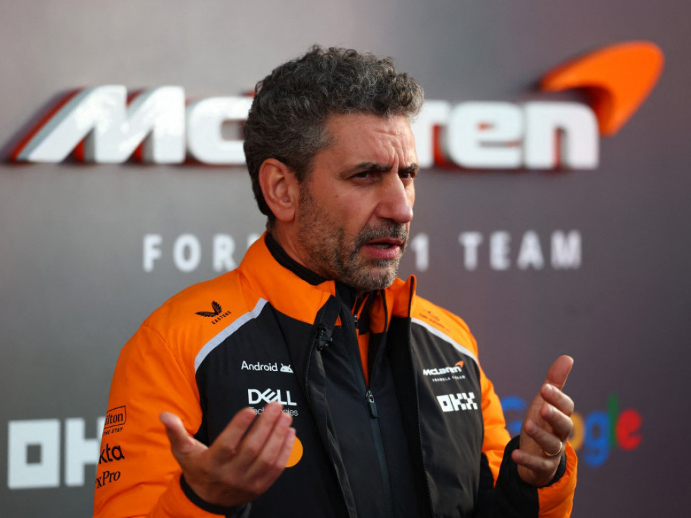 Direktor Meklarena Andrea Stela