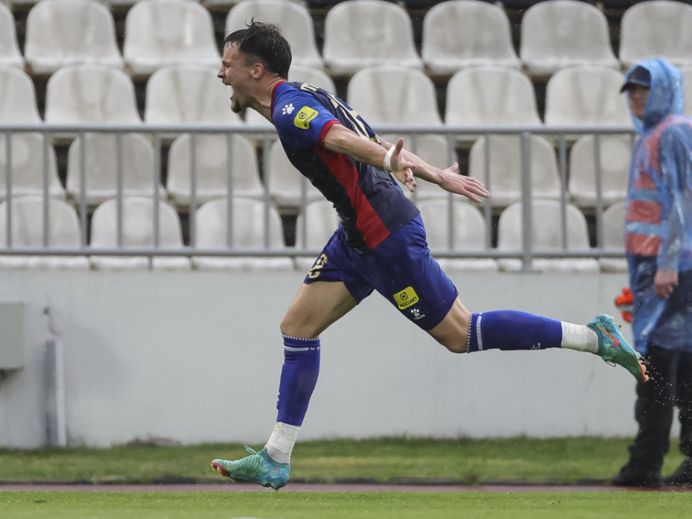 Njegoš Petrović, fudbaler Vojvodine