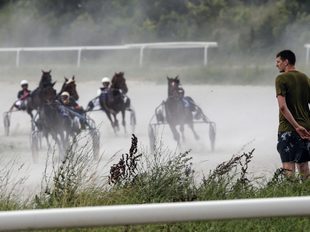 Nikola Jokić, NBA zvezda, posmatra konjičke trke