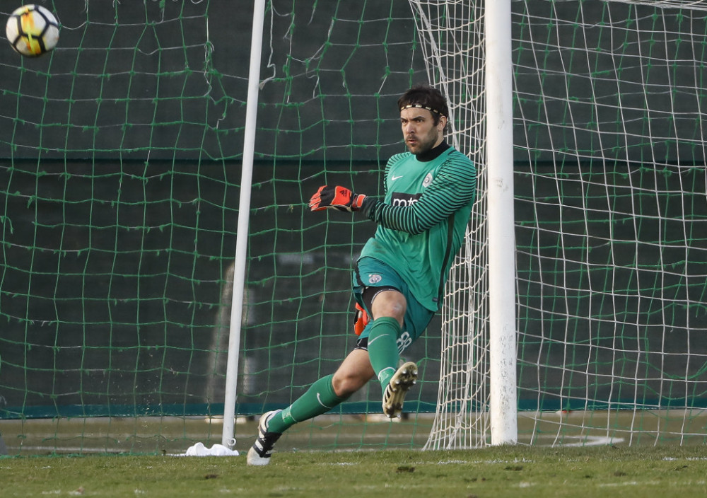 Vladimir Stojković, golman  Čukaričkog