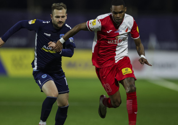 Stranci u srpskoj selekciji? Selektor ne isključuje tu opciju, jednog dana, do tada traži sud javnosti