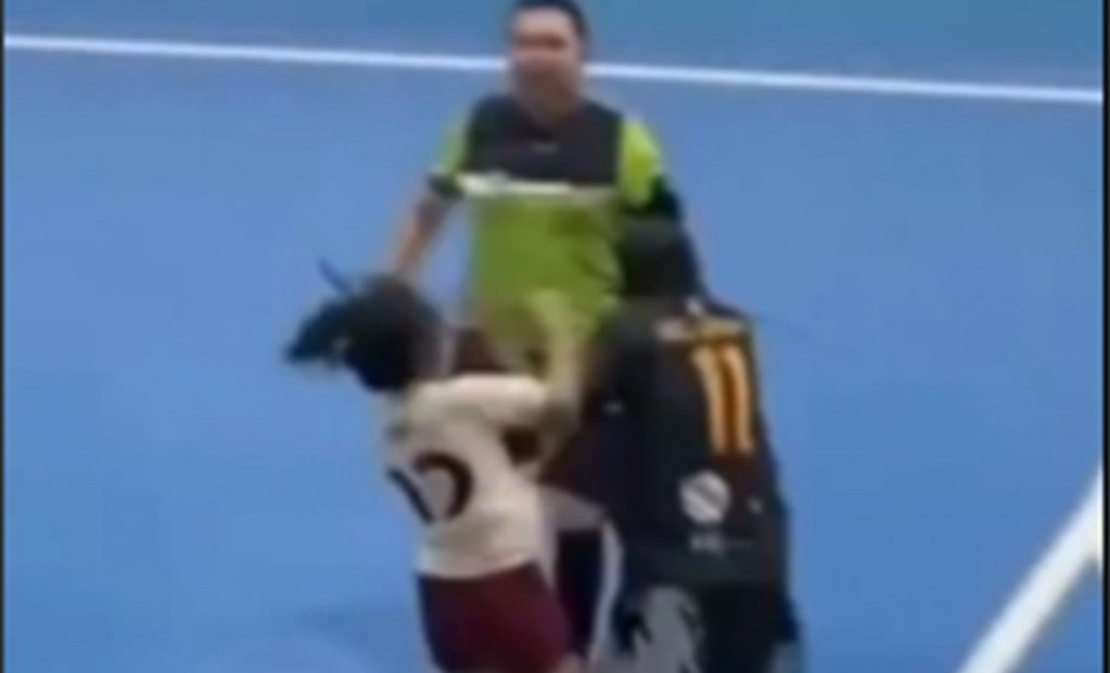 Besna igraćica RSN je i nokautirala rivalku