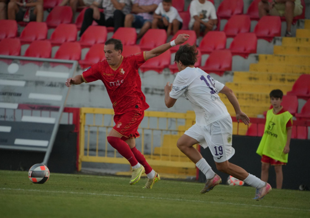 Nikola Srećković
