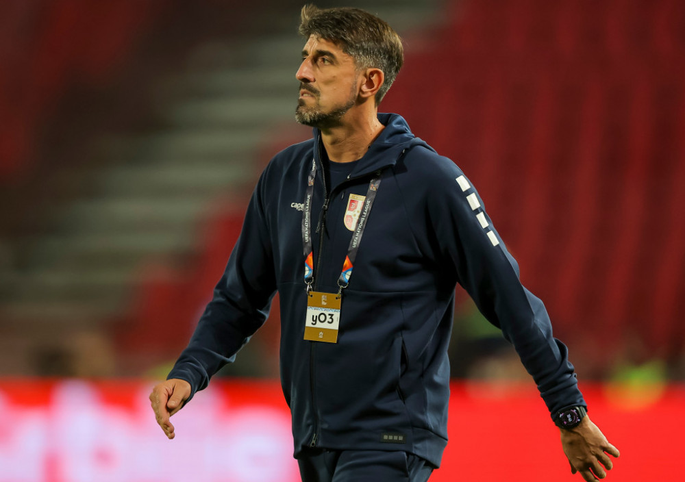 Veljko paunović, fudbalski selektor Srbije