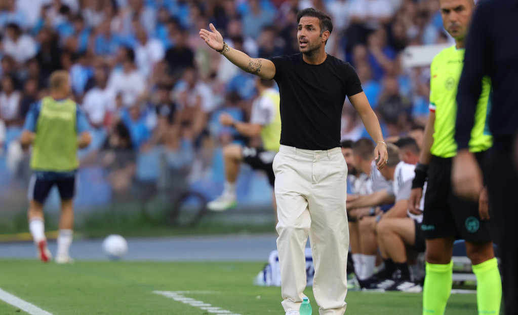 Sesk Fabregas