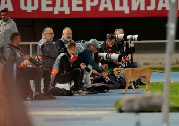 (VIDEO) Scena koja je zapalila stadion u Skoplju: Nezvani gost prekinuo duel Severne Makedonije i Škotske
