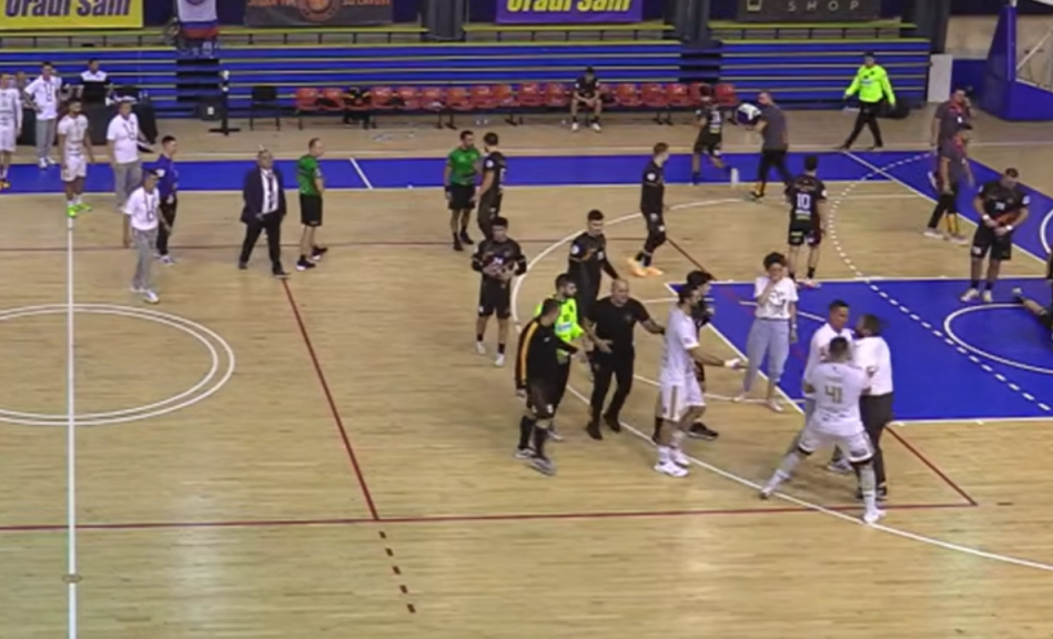 Partizan - Lavovi