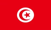 Tunis flag